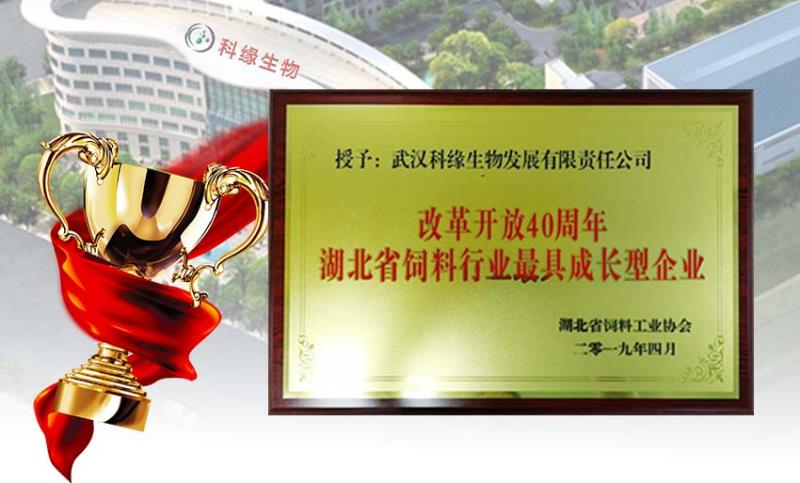 獲獎(jiǎng)圖片.jpg 獲獎(jiǎng)圖片.jpg